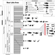 Graphic depicting types of organisms present in the Bear Lake are of southeastern Idaho in the Early Triassic. Image: Brayard et. al 2017